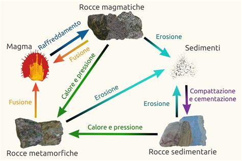  Atrioplanus! Un piccolo maestro della metamorfosi che si nasconde tra le crepe delle rocce